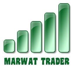 Please wait ! #MarwatTrader profiles is now updated...:)