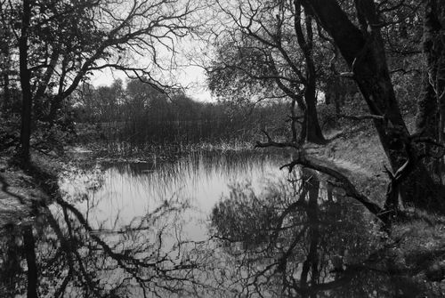 breezyden's profile picture. 