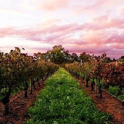 Lamont's Swan Valley is open from Friday  to Sunday, 10am until 5pm, offering a small tastes tapas menu, wine tastings at Cellar Door and a relaxed atmosphere.