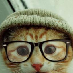 PunkwithGlasses's profile picture. Hi! I'm Syren. iCreep..^_^