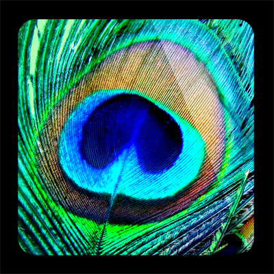 A collection of breathtaking Indian photographs prepared specially as your iPhone 5/iPhone 4/iPhone4s wallpapers. Now available on Apple App Store for FREE...