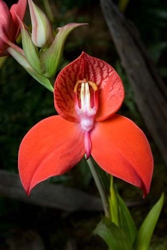 ConstantiaProps's profile picture. Constantia Property - Cape Town