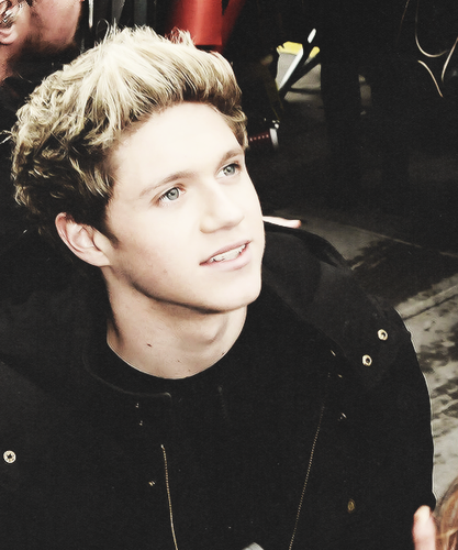 Hii I'am a Proud Directioner,love the Boys so much:*Follow me:*