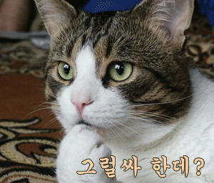 unik79's profile picture. 