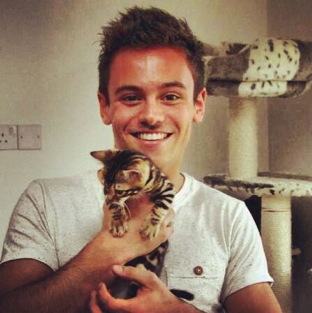 Hey, I'm Tom Daley's Bengal cat :D #TomsBengalCat #TeamBengalCat Say 'fish' if you want a follow back :D TOM FOLLOWED 28032013