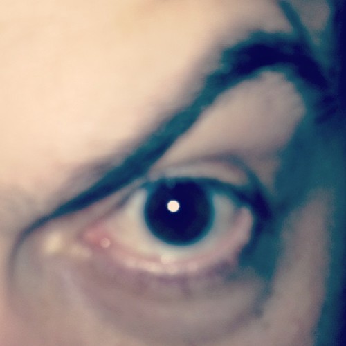 Delia_Eyebrow's profile picture. I am the signature eyebrow of comedian Chris D'Elia. It's not an easy job, but it's a fun one.