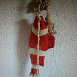 migl_'s profile picture. No passareu
I si passeu quan tots haurem deixat de viure, sabreu de sobres a quin preu s’abat a un poble digne i lliure Més no serà
Per més que feu, no passareu