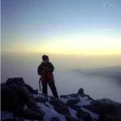 murrayandrewSEO's profile picture. We offer small business Internet marketing packages. Let us help you reach your market at affordable prices.