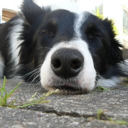beckhamcottage Profile Picture