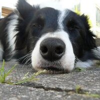 Beckham Cottage (@beckhamcottage) 's Twitter Profile Photo