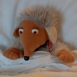 Womble_tomsk's profile picture. Father. Drinker of coffee. Eater of chocolate. Womble. Philosophical vagabond. Proto-Snufkin. In my spare time I research & teach. Tweeting my own views.