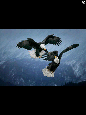 granted35's profile picture. 