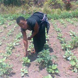 MAgripro's profile picture. 