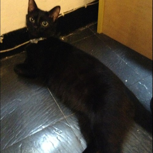 cin61_cinzia's profile picture. 