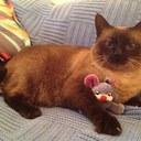 Beatriz esteban - @esteban_beatriz - Twitter