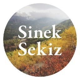 sineksekiz Profile Picture