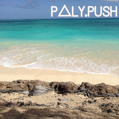 Positive Polynesians working towards a better future for our younger generations, promoting hard work & praising all things great. Join the movement #POLYPUSH