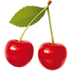 toys4btc's profile picture. The 1st Erotic Webshop in Germany which ONLY accepts Bitcoin as #Payment for more than 8000 products. Enjoy the easiness of shopping with #Bitcoins