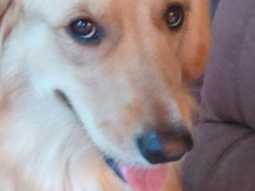 DeborahPekofsky's profile picture. 