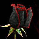 Marie B (@027731910832) Twitter
