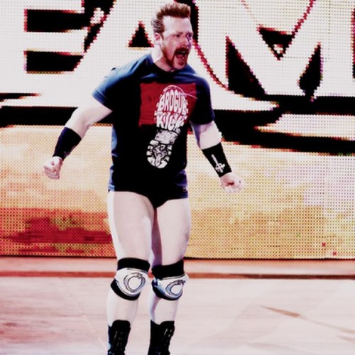 Sheamus! {Not Really..} Married to @notrealnatalya and father of 2! {RP}
(Was @ifakesheamus)