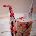 Kate Meehan - @kate_m1 - Twitter