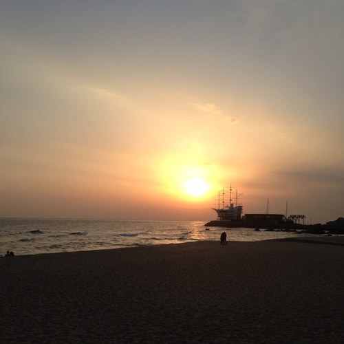 _sunsball's profile picture. 