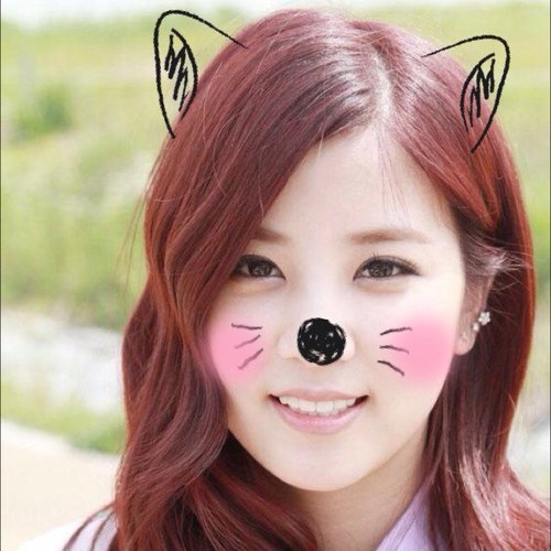Apinkリーダーのちょろんbot！ いつもねこちゃんなの♡ たくさんかまってね？