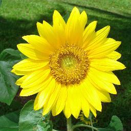 magsy3's profile picture. +