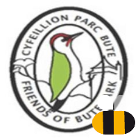 Updates on what's happening regarding upcoming activities with the Friends of Bute Park Group and Bute Park itself.