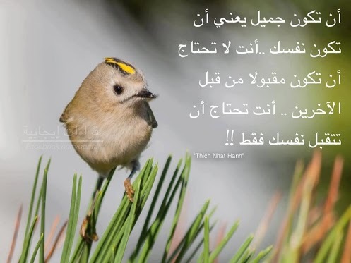 جدة، المملكةالعربية السعودية 💚