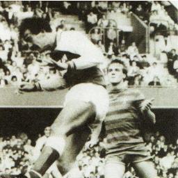 Paul Ward Profile