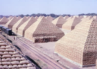 mamuda_fu's profile picture. A Muslim, nationally a passionate Nigerian and globally a Humanist. RT's and Mentions aren't endorsement and do not necessarily reflect my views..