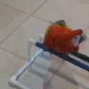 faisal sultan  - @FaisalMacaw - Twitter