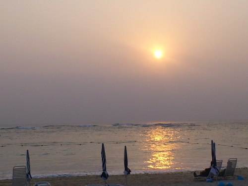 15Yuki12's profile picture. 