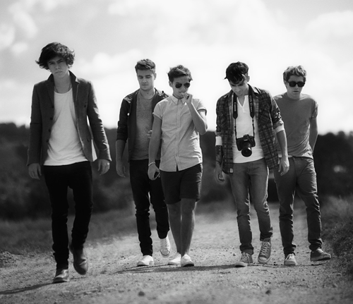 | Niall Horan | Harry Styles | Zayn Malik | Liam Payne | LouisTomlinson | Kevin the pigeon | One Direction.