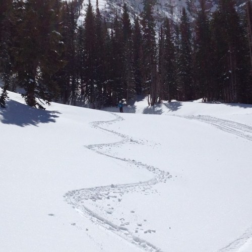 ski bum wannabe