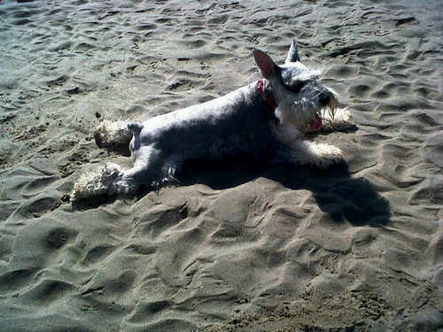 Inge3Dcontrol's profile picture. 