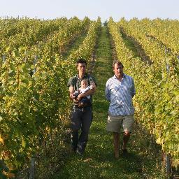 WistonEstate's profile picture. For Wiston Estate Winery go to @WistonSparkling