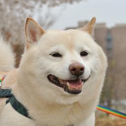 ばぁさんのプロフィール画像