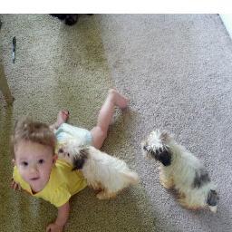 linfluet's profile picture. 