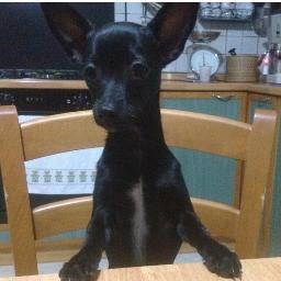 Sophie_7200's profile picture. 