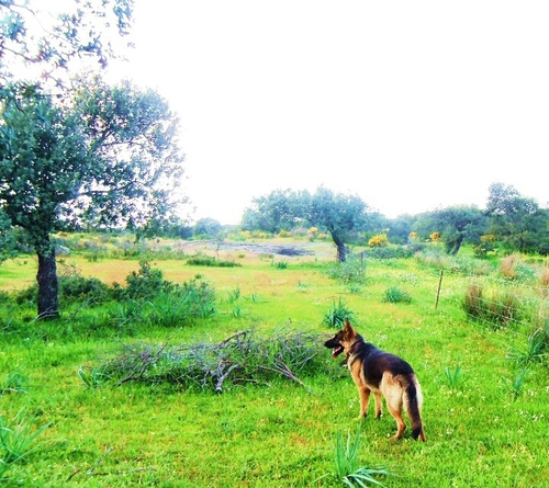 Animadora Sociocultural, de sonrisas infinitas. Enamorada de mi tierra, Extremadura.