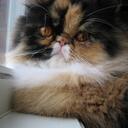 Beverly Holt - @beverlymc1 - Twitter