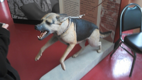 masterslayer585's profile picture. Game fanatic... fan of cod and Halo