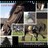 paardenfeitjes4's profile image