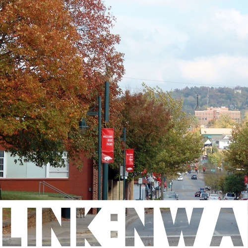 LinkNWA's profile picture. We are a group of Northwest Arkansas young professionals giving others the opportunity to casually network while giving back to the area.