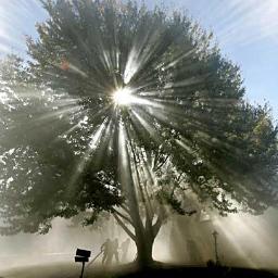 ECPC09's profile picture. 