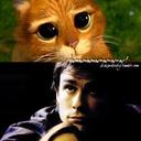 sciaubelli - @DianaGilbert007 - Twitter