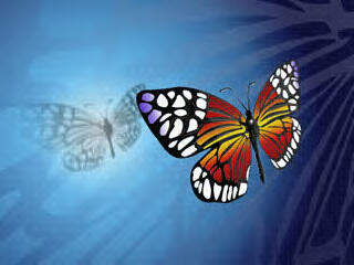 DrkruseBTC8's profile picture. Neursosugeon reworking health from disease.Architect of decentralized thinking.Bitcoin.